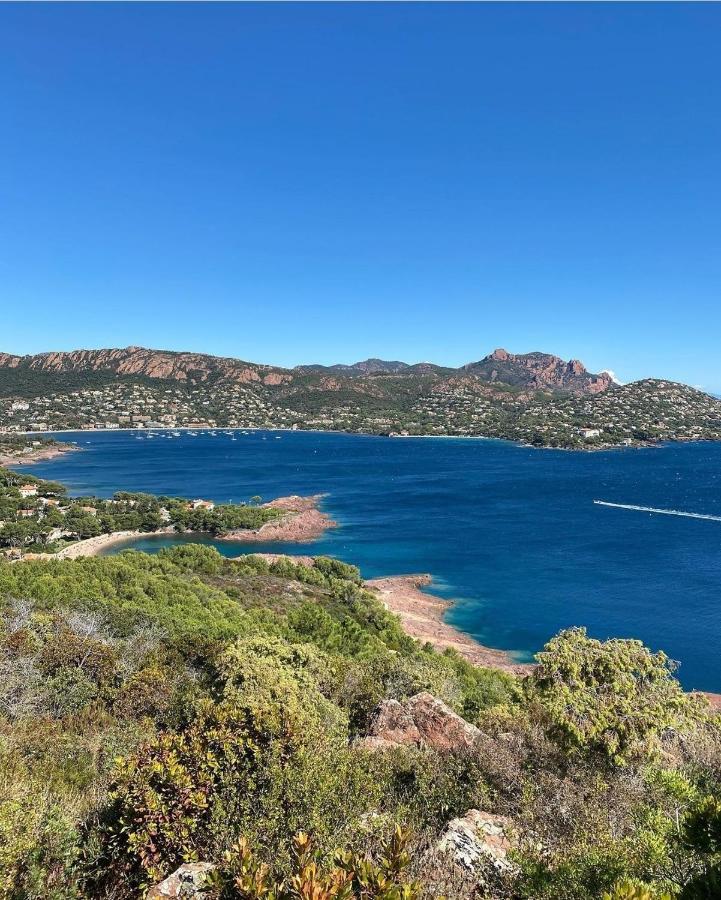 Cannes - Appartement Cosy Et Lumineux Luaran gambar